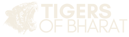 Tigers of Bharat
